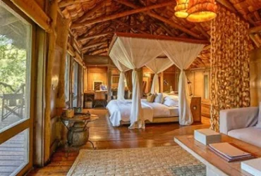 Andbeyond Lake Manyara Tree Lodge-Banok Safaris Limited