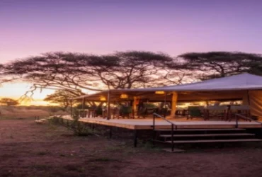 Baobab Tented Camp-Banok Safaris Limited