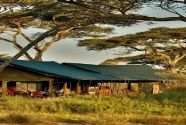 Chaka Camp-Banok Safaris Limited