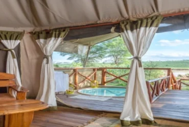 Elephant bedroom Tented Camp-Banok Safaris Limited