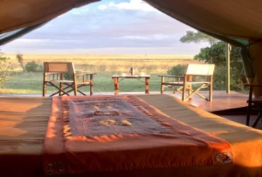 Governors Camp-Banok Safaris Limited