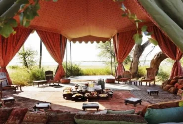Jack’s Camp-Banok Safaris Limited