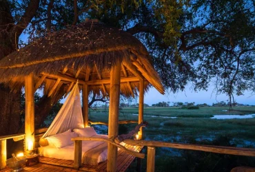 Jao Camp-Banok Safaris Limited