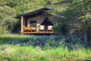 Karen Blixen Mara Camp- Banok Safaris Limited