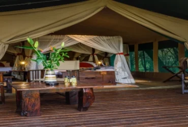 Mara Bush Camp- Banok Safaris Limited