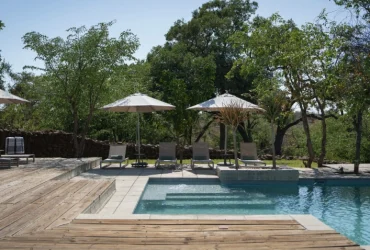 Mashatu Lodge-Banok Safaris Limited