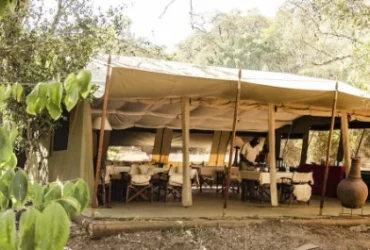 Nairobi Tented Camp- Banok Safaris Limited
