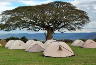 Ngorongoro Simba Campsite-Banok Safaris Limited