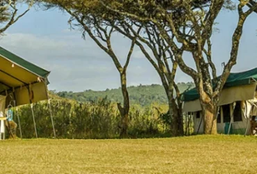 Ngorongoro Wild camp-Banok Safaris Limited