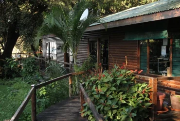 Nguma Island Lodge-Banok Safaris Limited