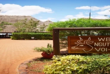 Ngutuni Safari Lodge- Banok Safaris Limited