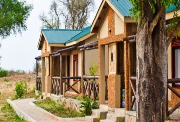 Pakuba Safari Lodge-Banok Safaris Limited