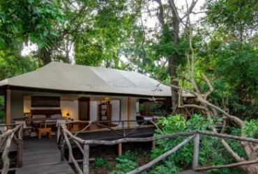 Rhino River Camp- Banok Safaris Limited