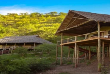 Sagaiwe Tented Camp-Banok Safaris Limited