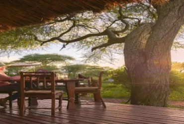 Tarangire Simba Lodge-Banok Safaris Limited