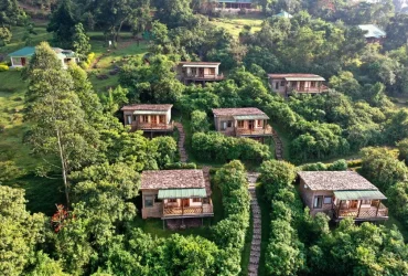 The Haven Lodge Buhoma-Banok Safaris Limited