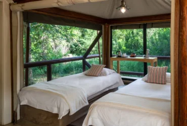 Tuli Safari Lodge-Banok Safaris Limited