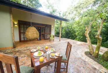 Turaco Treetops Safari Lodge-Banok Safaris LImited